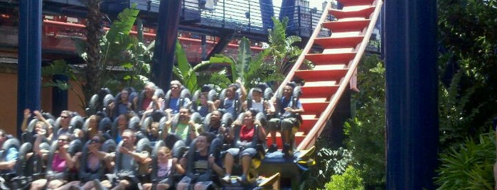 SheiKra is one of Must Ride Roller Coasters.