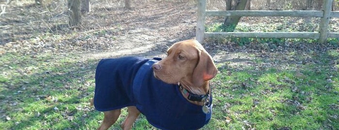 Riverdale Park East is one of Toronto Off-Leash Dog Parks.