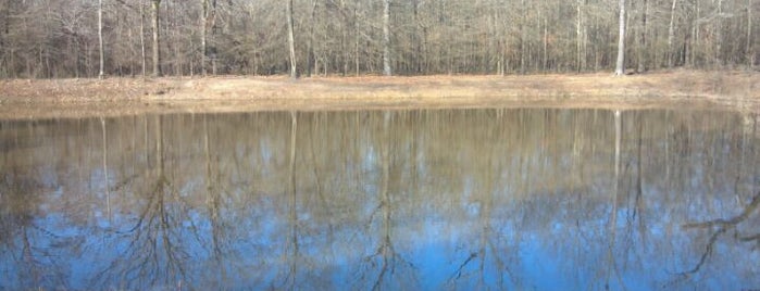 Felsenthal NWR Visitor's Center is one of 82 Best Birdwatching Spots in the US.