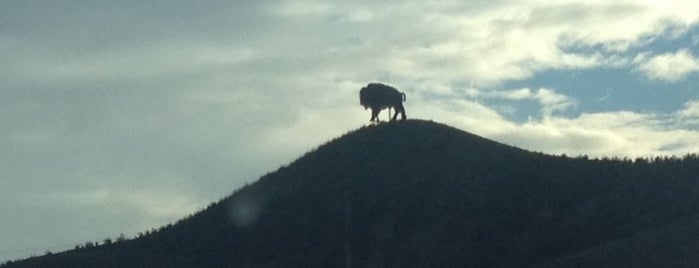 Buffalo on the Hill is one of Tempat yang Disukai Rick E.
