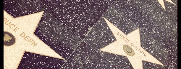 Hollywood Walk of Fame is one of Hopefully, I'll visit these places one day....