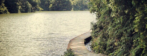 Lower Peirce Reservoir Boardwalk is one of Trek Across Singapore.