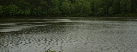 William Umstead Lake is one of Local Photo Ops - Nature.