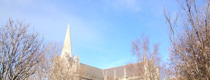 St Patrick's Cathedral | Ardeaglais Naomh Pádraig is one of Dublin Tourist Guide.