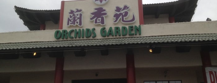 las vegas dim sum restaurant las vegas dim sum restaurant