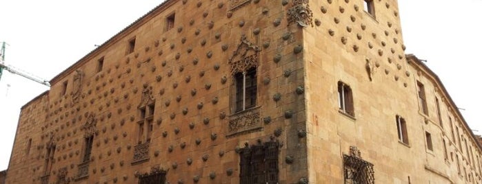 Casa de las Conchas is one of Salamanca.
