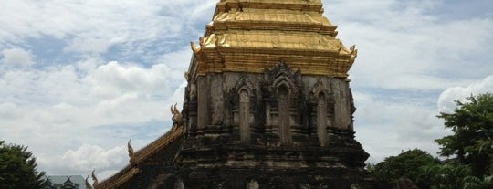 Wat Chiang Man is one of Thai Flowers.