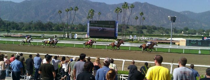 Santa Anita Park is one of Equestrian Life.