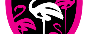 Flamingo GO Pool is one of #Vegas Badges.