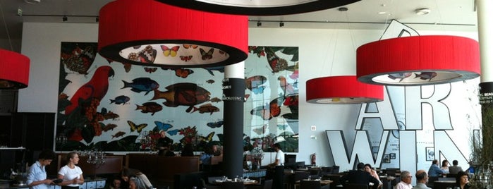 Darwin's Café is one of Lisboa ... restaurantes.