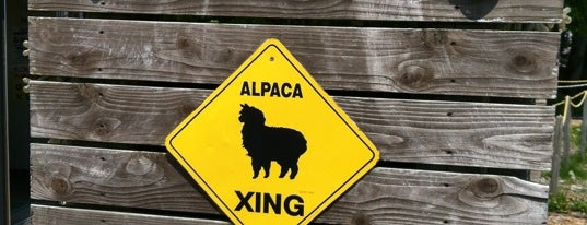 Nasu Alpaca Farm is one of สถานที่ที่ Sigeki ถูกใจ.
