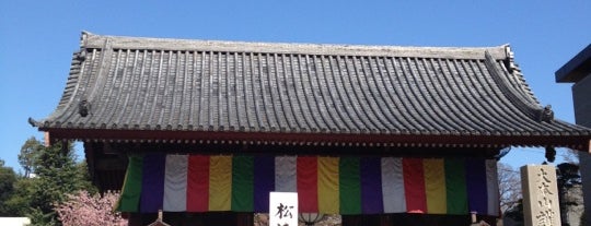 Gokoku-ji Temple is one of Japan.