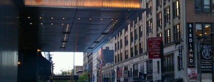 InterContinental New York Times Square is one of Danyel : понравившиеся места.