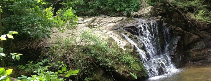 Patapsco State Park is one of Jeff's Saved Places.