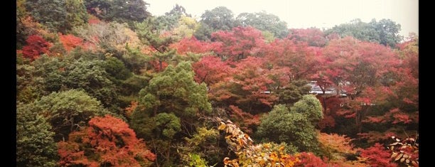 Arashiyama Park is one of Kyoto.