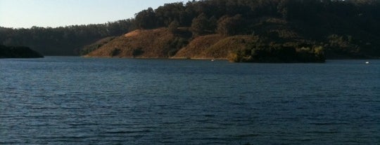 Lake Chabot Regional Park is one of East Bay Running Trails.