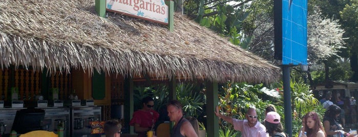 Margarita Stand is one of Walt Disney World - Epcot.