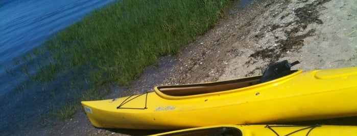 Shelter Island Kayak Tours is one of North Fork.