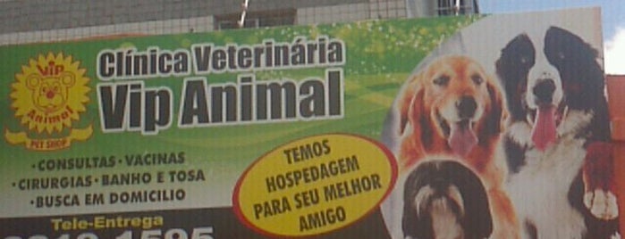 VIP Animal is one of Preferidos.