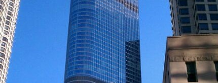 Trump International Hotel & Tower Chicago is one of World's Tallest Buildings.