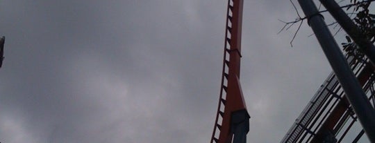 SheiKra is one of Theme Parks & Roller Coasters.