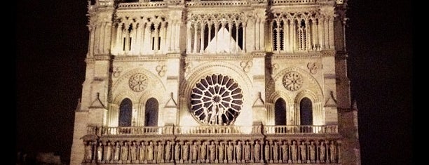 Cattedrale di Notre-Dame is one of Paris/2011.
