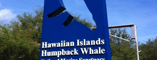 Hawaiian Islands Humpback Whale National Marine Sanctuary is one of Maui.