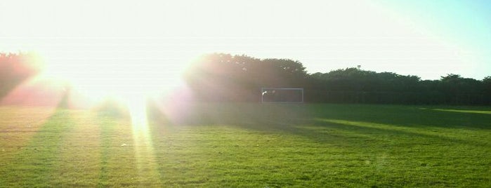 Beach Chalet Soccer Fields is one of Pickup Soccer places.
