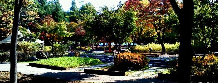 Yangjae Citizen's Forest Park is one of Guide to SEOUL(서울)'s best spots(ソウルの観光名所).