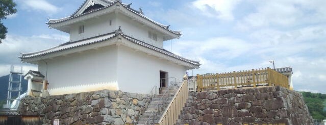 甲府城 is one of 日本100名城.