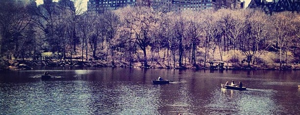 The Lake is one of Park Highlights of NYC.
