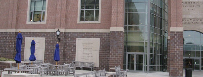 The DeNaples Center (University of Scranton) is one of Take a Seat: Benches on Campus.