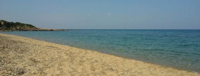 Spiaggia di Portu Maga is one of Spiagge della Sardegna.