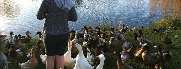 Nature Park is one of Things to do while in Rexburg.