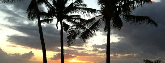 Poipu Beach is one of aloha kauai!.