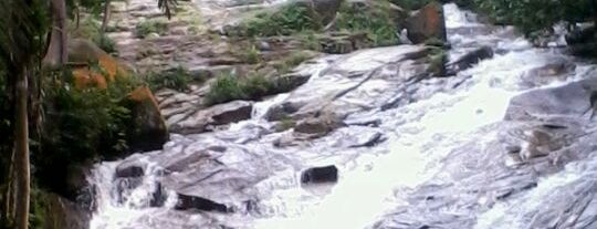 Cameron Highland