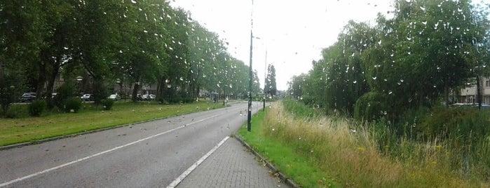 Bushalte Europaweg is one of favo's.