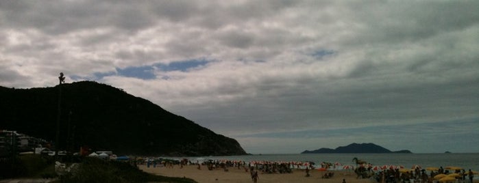 Praia Brava is one of Floripa Golden Isle.