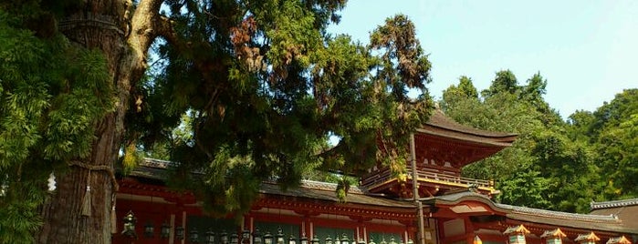 Kasuga-taisha Shrine is one of Best of World Edition part 3.