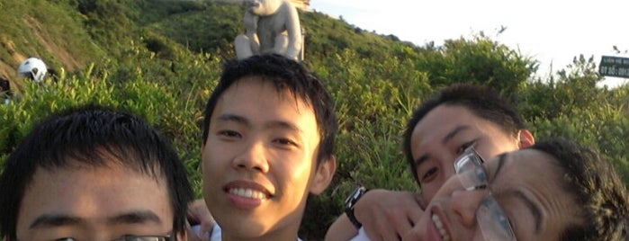 Đồi Vọng Cảnh Sơn Trà (Son Tra Lookout) is one of "SSMR2012-Foursquare Challenge" Locations.