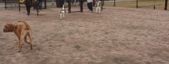 Greenwood Dog Park is one of Toronto Off-Leash Dog Parks.