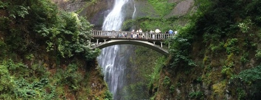 Multnomah Falls is one of Best Places to Check out in United States Pt 4.
