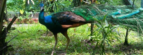 Kuala Lumpur Bird Park is one of Sunny@Kuala Lumpur.