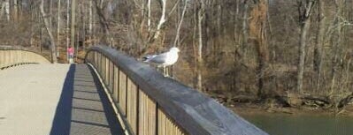 Theodore Roosevelt Memorial Bridge is one of Historical Monuments, Statues, and Parks.