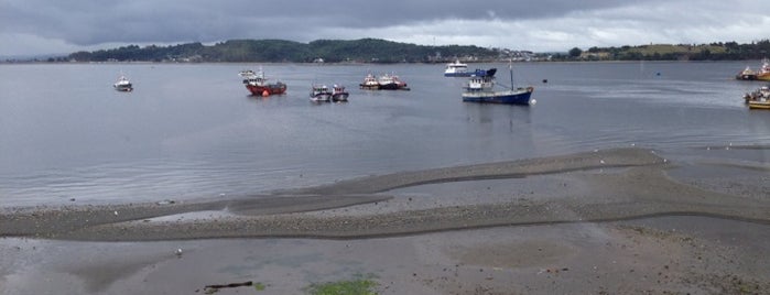 Muelle Fiscal Quellón is one of Isla de Chiloé.