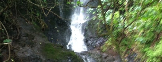 Likeke Falls is one of Hawaii.