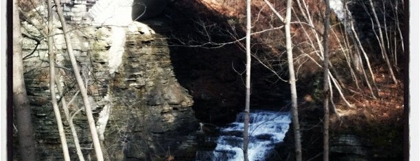 Cascadilla Gorge is one of End of semester 'MUSTS' for Cornell Students!.