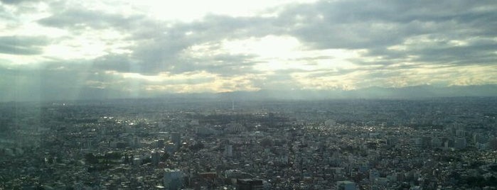 Tokyo Metropolitan Government Building is one of Tokyo.