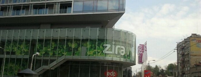 Zira is one of Lieux qui ont plu à Dragan.