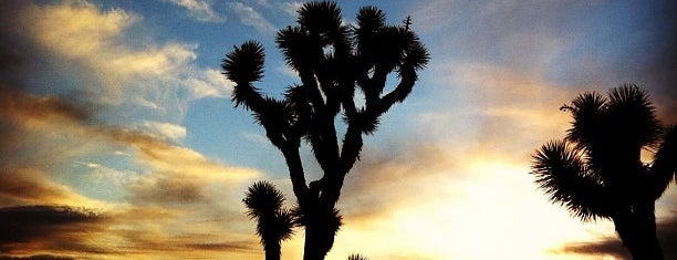 Joshua Tree National Park is one of Been there done that.